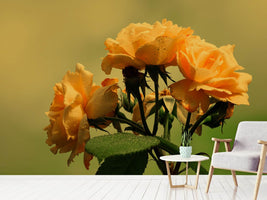 photo-wallpaper-the-roses-in-nature