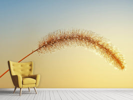 photo-wallpaper-ornamental-grass-in-xxl