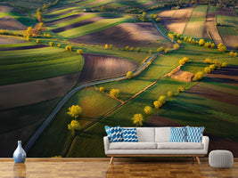 photo-wallpaper-fields-xgg