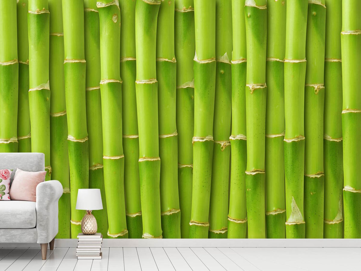 photo-wallpaper-bamboo-wall