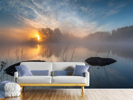 photo-wallpaper-morning-sun-x