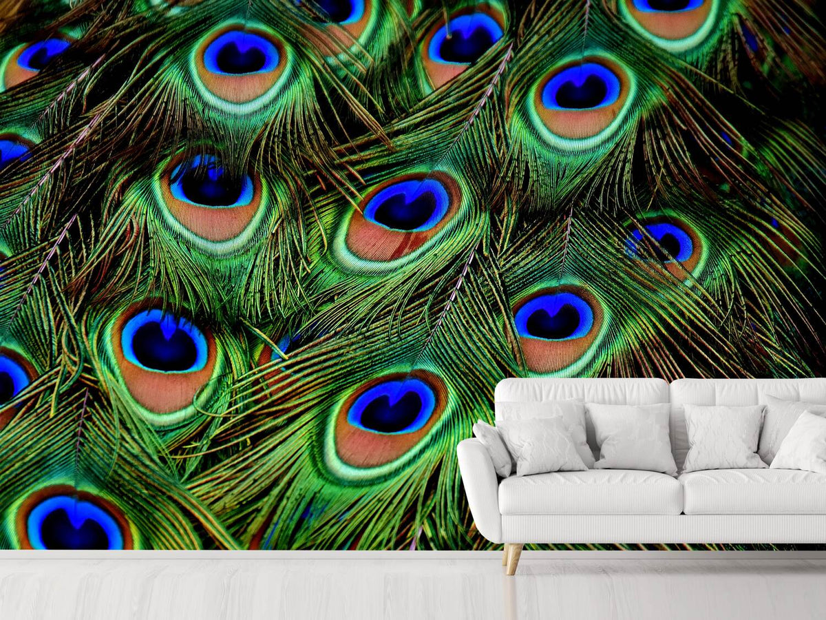 photo-wallpaper-peacock-feathers-xxl