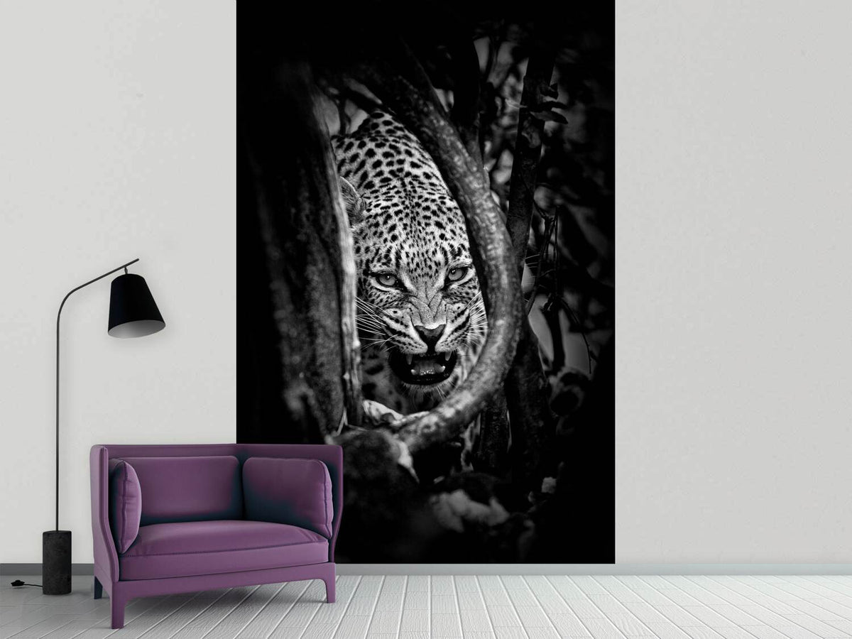 photo-wallpaper-leopards-lair