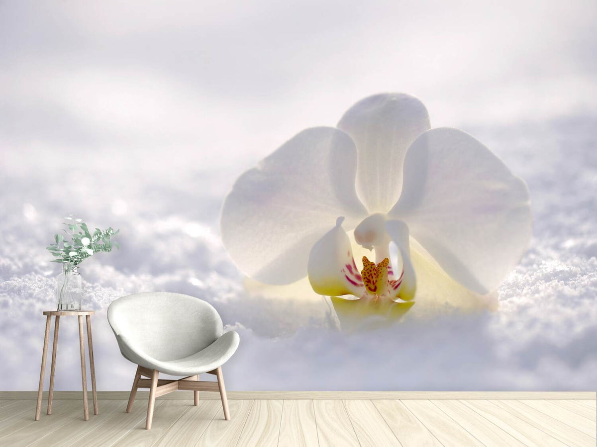 photo-wallpaper-the-orchids-bloom