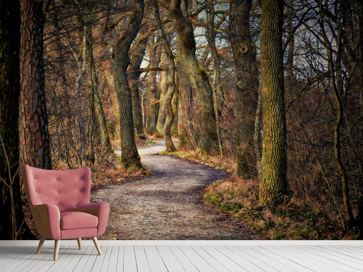 photo-wallpaper-enchanted-forest