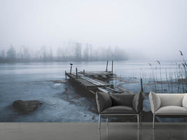 photo-wallpaper-left-for-winter