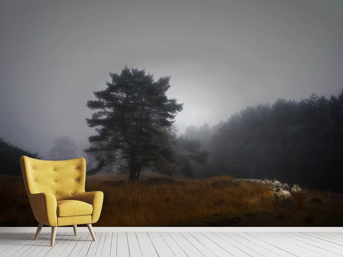 photo-wallpaper-foggy-memory-of-the-past