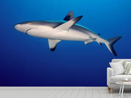 photo-wallpaper-shark-in-the-dark-sea