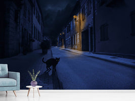 photo-wallpaper-le-chat-noir