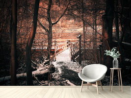 photo-wallpaper-winter-is-coming