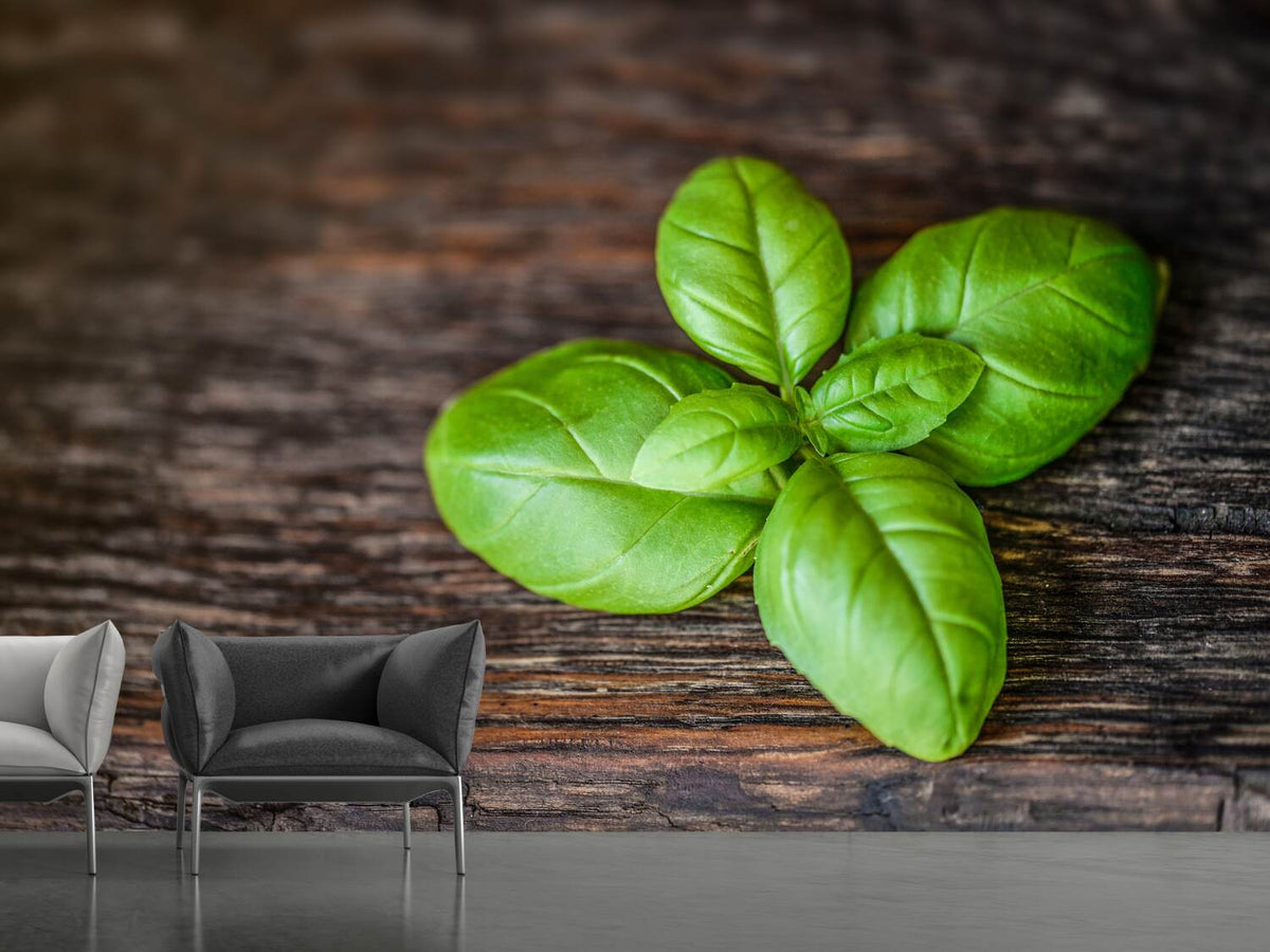 photo-wallpaper-basil-leaf-in-xxl