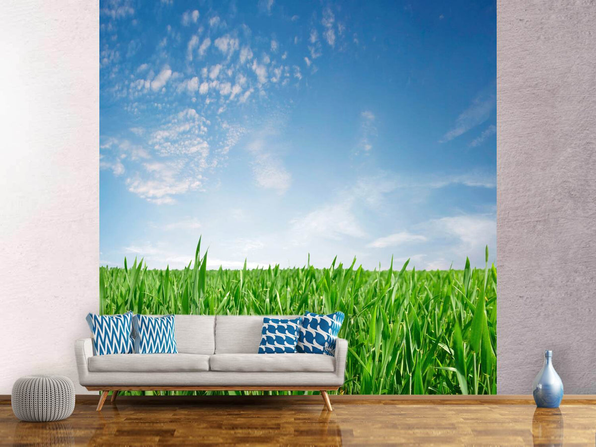 photo-wallpaper-the-grass