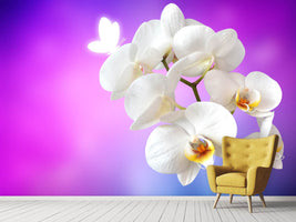 photo-wallpaper-flower-power-orchid