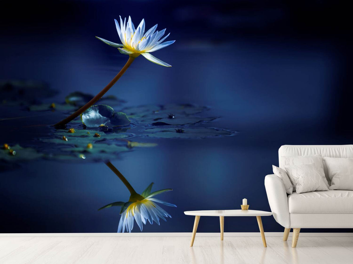 photo-wallpaper-reflection-xdb