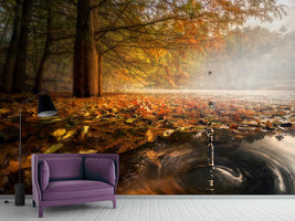 photo-wallpaper-drops-between-the-autumn-colors-x