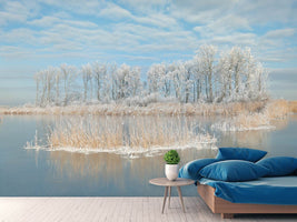 photo-wallpaper-winter-xfq