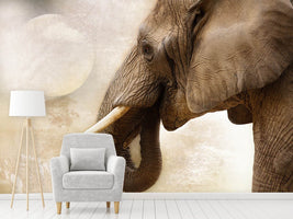 photo-wallpaper-portrait-of-an-elephant