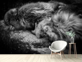 photo-wallpaper-sleeping