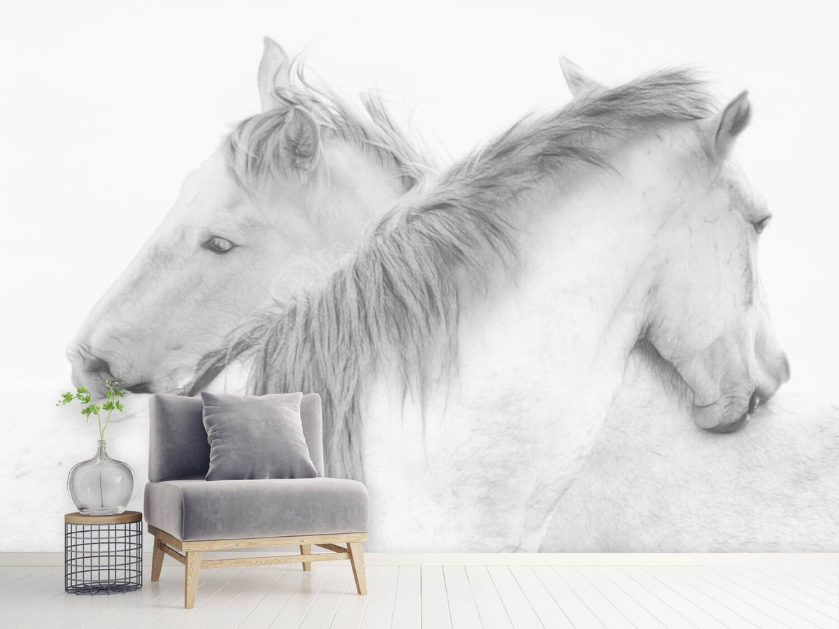 photo-wallpaper-horses