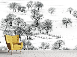 photo-wallpaper-bashang-winter