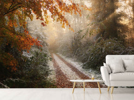 photo-wallpaper-frosty-fall-x