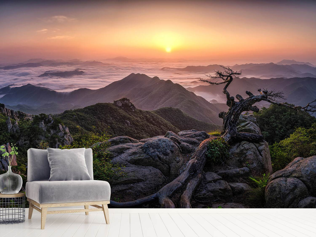 photo-wallpaper-sunrise-on-top-x