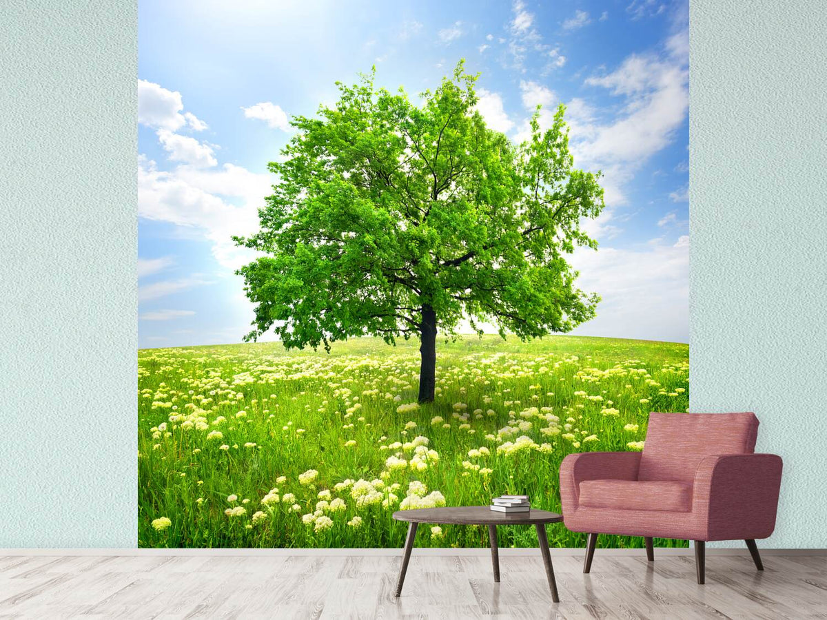 photo-wallpaper-the-tree