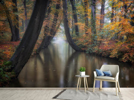 photo-wallpaper-enchanted-autumn-x