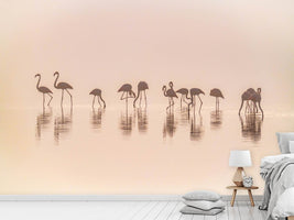 photo-wallpaper-flamingos-in-the-mist-x