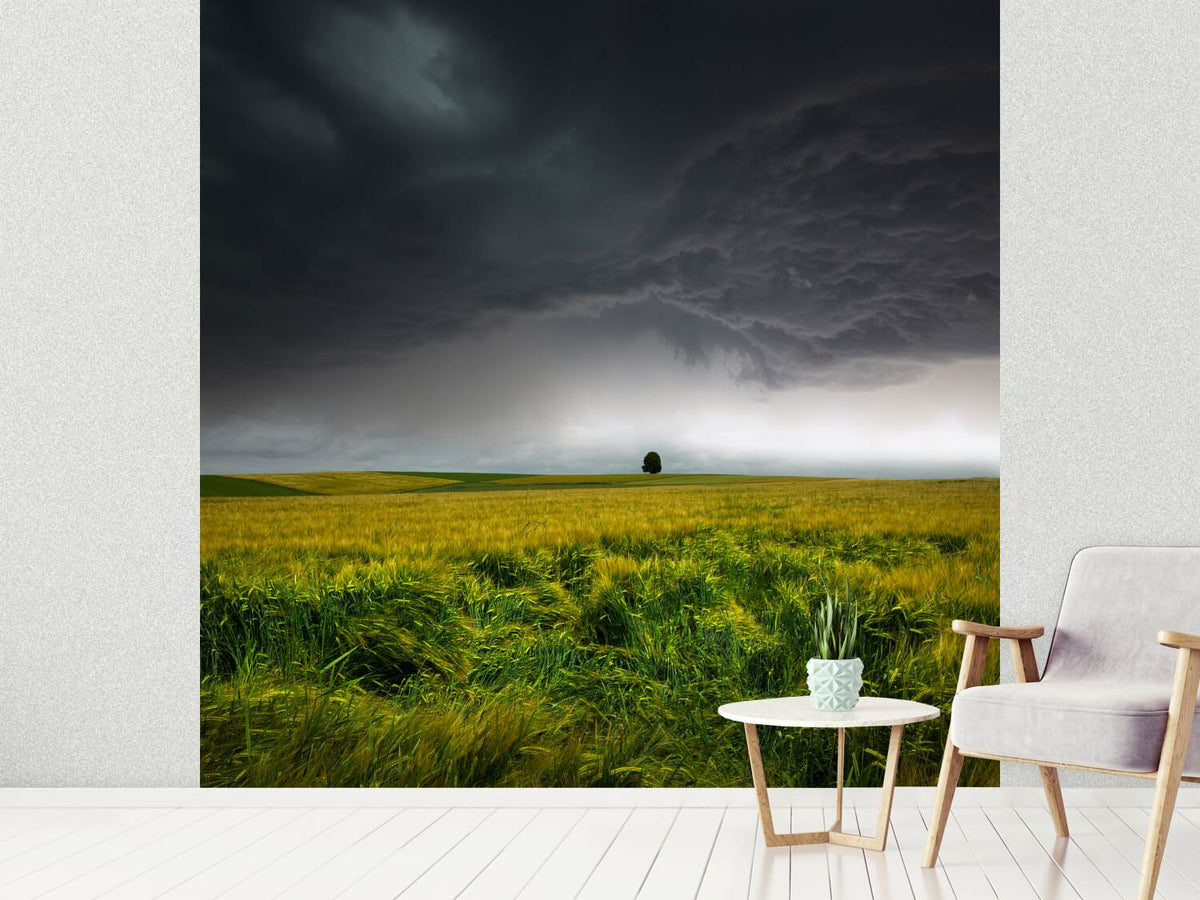 photo-wallpaper-sommergewitter