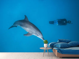 photo-wallpaper-dolphin-and-freediver