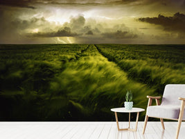 photo-wallpaper-journey-to-the-fierce-storm