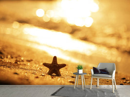 photo-wallpaper-the-starfish