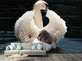 photo-wallpaper-mom-and-baby-swan