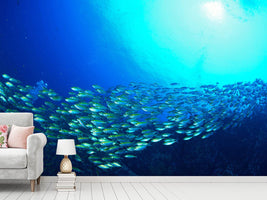 photo-wallpaper-shoal-of-fish