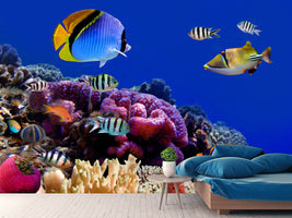 photo-wallpaper-world-of-fish