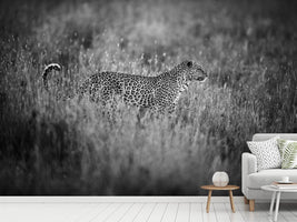 photo-wallpaper-leopard-s-mood-x