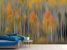 photo-wallpaper-fall-impression-2-x